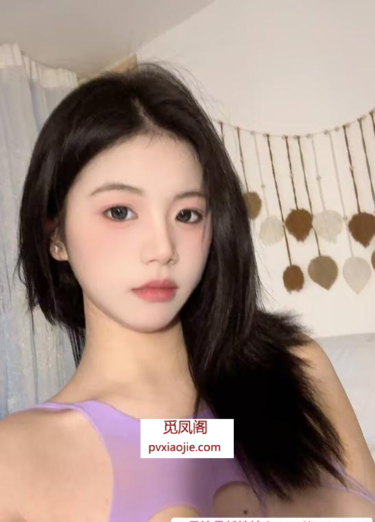 车公庙灰灰
